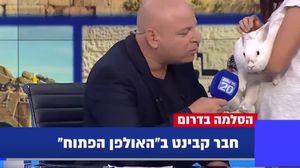 أحضرت القناة الـ20 الإسرائيلية أرنبا للاستديو- فيسبوك