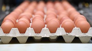 يساعد تناول البيض في شفاء الكسور- جيتي