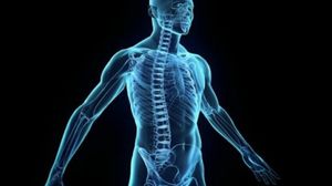 جسم الإنسان قادر على استعادة صحته بعد التعرض لإصابات أو التفاعل مع الأدوية- فيسبوك