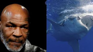 اعترف تايسون بأنه كان خائفا حتى الموت خلال مواجهة أسماك القرش- أورو سكوب/ تويتر