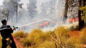 ذكرت مصالح الحماية المدنية أن 36 حريقا اندلعت منذ صباح أمس في عدة ولايات، 19 منها في ولاية تيزي وزو- الشروق الجزائرية
