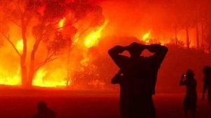 مشاهد أليمة من الجزائر وأعداد الضحايا في ارتفاع بسبب الحرائق- تويتر