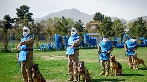 تلقى فارثينغ وحيواناته الأليفة مساعدة من القوات المسلحة البريطانية وينتظرون إجلاءهم من مطار كابول- جيتي
