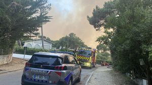ذكرت قيادة الشرطة المحلية أن "الحريق امتد لمقاطعة لاند حيث تم إجلاء نحو 3800 شخص- الشرطة بتويتر
