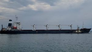 المشتري اللبناني يرفض استلام شحنة الحبوب بداعي تأخر سفينة "رازوني" 5 أشهر