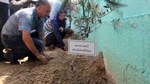 مؤسسة صحفية تزرع بفناء مقرها بغزة 17 شجرة زيتون تكريما للصحفيين - الأناضول