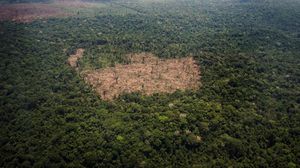 "الأمازون" تقترب من نقطة اللارجوع بسبب التغير المناخي- ا ف ب