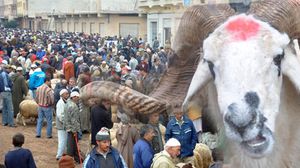 يتميز المغاربة بعادات وتقاليد تسبق الاحتفال بهذه السنة النبوية المؤكدة - عربي21