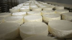 الجبن من رموز الطعام في فرنسا حيث نجد تنوعا كبيرا للعفن لإنتاج أنواع مختلفة من الجبن - أ ف ب
