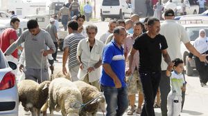 تونس   العيد   عيد الأضحى  عادات  ثقافة