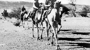 قمع الجنود البريطانيون انتفاضة ضد السلطان العماني في عام 1960- الغارديان