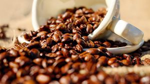 محصول القهوة في مناطق زراعة البن في أمريكا اللاتينية معرض للخطر- cc0
