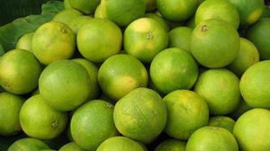 تبقي خصائص الليمون الحلو المضادة للأكسدة بشرتك صحية وناعمة ونضرة