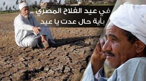 مصر   عيد الفلاح  العمالة الزراعية إنفوغرافيك