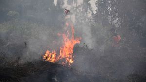أعلنت إندونيسيا أنها أغلقت عشرات المزارع التي تنتشر فيها الحرائق المتسببة بالدخان السام- جيتي