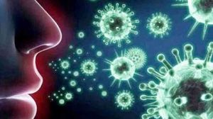 وجدت الدراسة أن الفيروس في الواقع يهاجم الخلايا الداعمة التي تكتشف الرائحة، ولكن ليس الخلايا العصبية نفسها