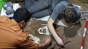 يُفترض أن الجرّاح الذي أجرى العملية قبل 31 ألف عام تمتّع بمعرفة تفصيلية عن التشريح- ناتشير