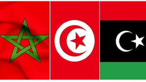 أنور الغربي: الموقف التونسي الرسمي من الزلزال في المغرب والفيضانات في ليبيا أقل مما هو مطلوب.  (عربي21)
