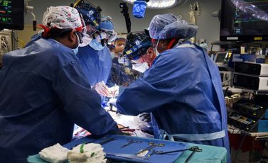 جراحون في كلية الطب بجامعة ميريلاند الأميركية يزرعون قلب خنزير في جسم مريض في السابع من كانون الثاني/يناير 2022 في بالتيمور