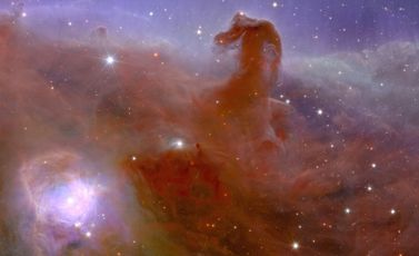 صورة غير مؤرخة تُظهر سديم رأس الحصان، وفرتها في 2 تشرين الثاني/نوفمبر 2023 وكالة الفضاء الأوروبية والتقطها التلسكوب القضائي الأوروبي "إقليدس"