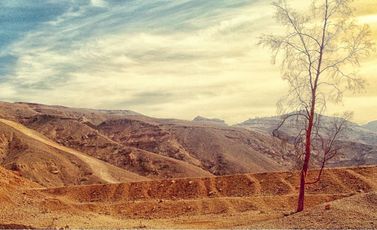 pexels-mohamed-elshawry-10645-55367