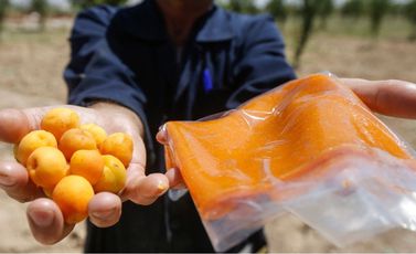 GettyImages-1233608613