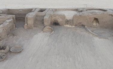 شيخ العرب همام - موقع رئاسة مجلس الوزراء المصري