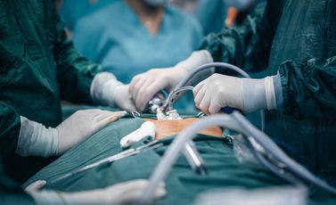 pexels-zeoxs-11748826