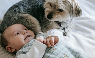 pexels-sarah-chai-7282655