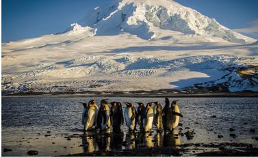 GettyImages-2176610105