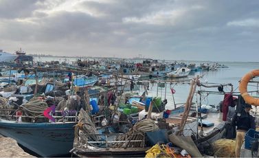 ميناء صيد في مدينة السويس المصرية