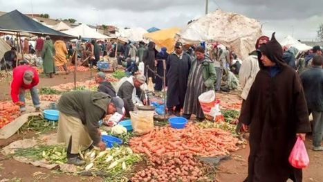 المغاربة تحت وطأة غلاء المعيشة.. أين تذهب ثمار النمو الاقتصادي؟