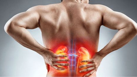دواء يساعد خلايا المثانة على معالجة عدوى المسالك البولية الكامنة