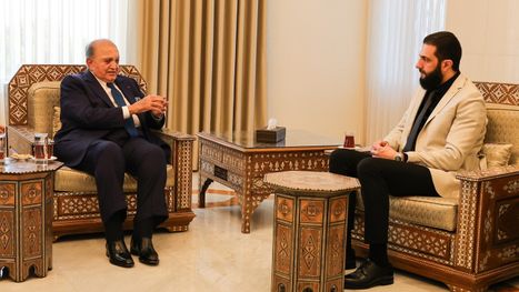 من هو الملياردير وفيق رضا الذي استقبله الشرع ارتبط اسمه بـصفقة اليمامة