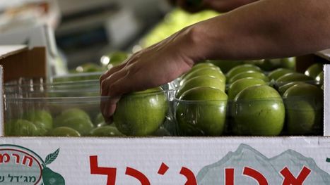 بريطانيا تعمل على حظر التعامل مع السلع والخدمات المرتبطة بالمستوطنات الإسرائيلية