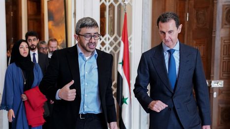 خسارة الإمارات بعد سقوط نظام الأسد لا تقل عن ...
