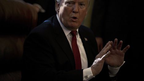 تهديدات ترامب لجامعة هارفارد تتزايد.. هل تخسر الجامعة ...