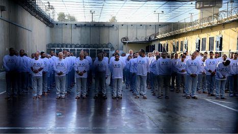 استشهاد أسير من غزة تحت التعذيب.. وإحصائية غير مسبوقة ...