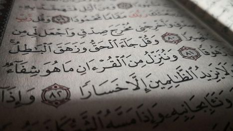 تفسير القرآن في الميدان.. قاموس المقاومة (14)