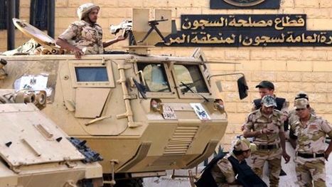 المعتقلون في مصر يستنجدون بالعالم: "أغيثونا من المحاكمات الهزلية"