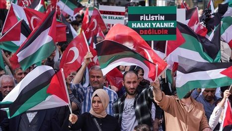 أردوغان والحزم من أجل غزة