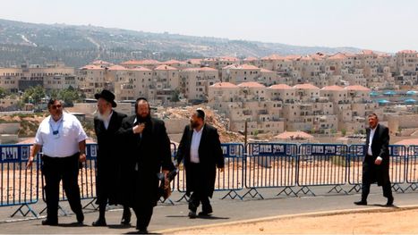 "إحصاء الاحتلال" تكشف عدد سكان الأراضي المحتلة.. كم عدد الفلسطينيين؟