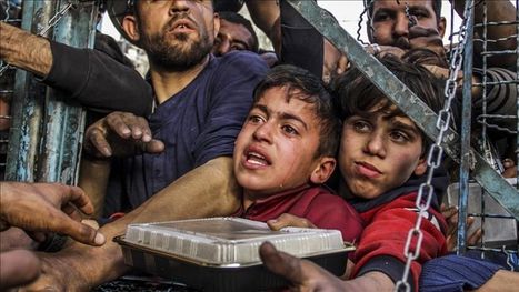 إسرائيل تستمر بجرائم الإبادة في قطاع غزة ...