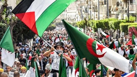 السلطات الجزائرية تمنع التظاهر من أجل فلسطين.. بلحاج: ...