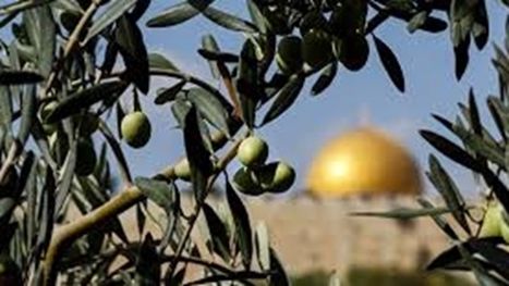 فلسطين مفتاح الحرب والسلام