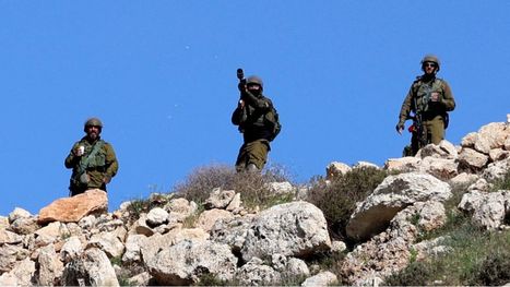 5 إصابات بالرصاص والاختناق إحداها لطفل في القدس والضفة.. وقلع لأشجار زيتون