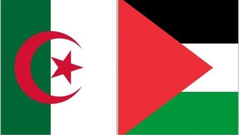 روح شباب الجزائر تبعث في فلسطين الحاضر.. المعركة واحدة (1)
