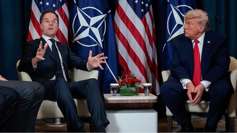 ترامب: حلف شمال الأطلسي نمر من ورق وأفكر في الانسحاب منه