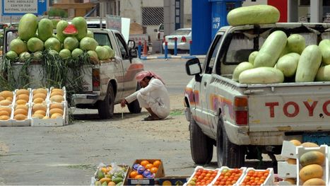 السعودية تنظم 