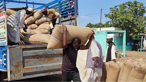 السودان يحظر استيراد مجموعة كبيرة من الواردات لوقف تدهور قيمة العملة